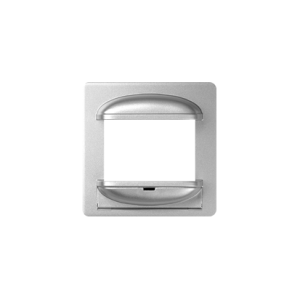 Aluminum