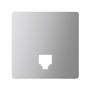 Aluminum