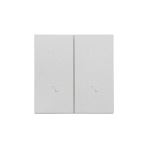 Simon 55 double button for switches and push buttons, matt aluminum — image 1