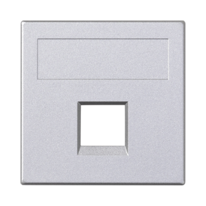 Aluminum