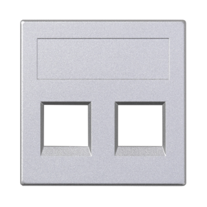 Aluminum