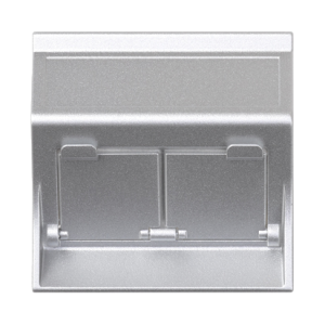 Aluminum