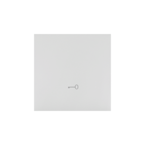 Light gray matt