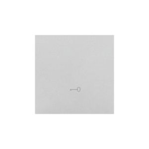 Matt aluminum