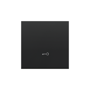 Simon 55 single button with pictogram for switches and push buttons, black matt — image 1