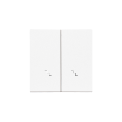 Simon 55 double button for switches and push buttons, white matt