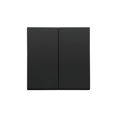Simon 55 double button for switches and push buttons, black matt