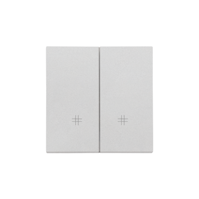 Simon 55 double button for switches and push buttons, matt aluminum