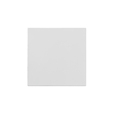 Simon 55 single button for switches and push buttons, light gray matt