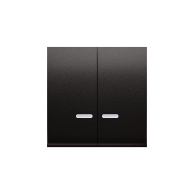 Simon 54 double rocker for illuminated mechanisms: SW6/2XLM, SW7/2XM, SW6P1M, anthracite, metalic