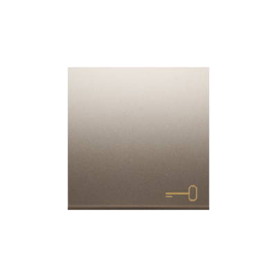 Simon 54 single button with pictogram for switches and push buttons, gold matt, metalic