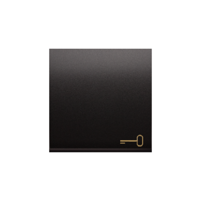 Simon 54 single button with pictogram for switches and push buttons, anthracite, metalic