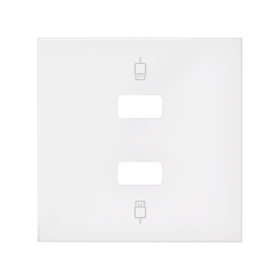 Simon 100 cover for 2 USB connectors, white matt