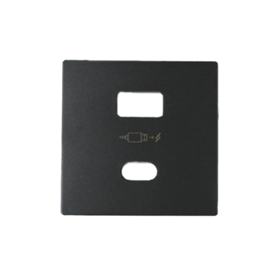Simon 82 cover for USB charger A+C type, graphite