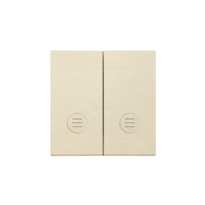 Simon 55 double button for switches and push buttons, champagne matt