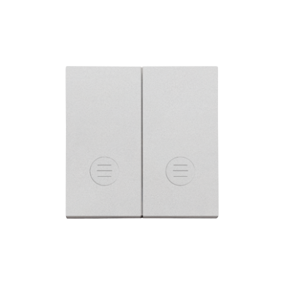 Simon 55 double button for switches and push buttons, matt aluminum