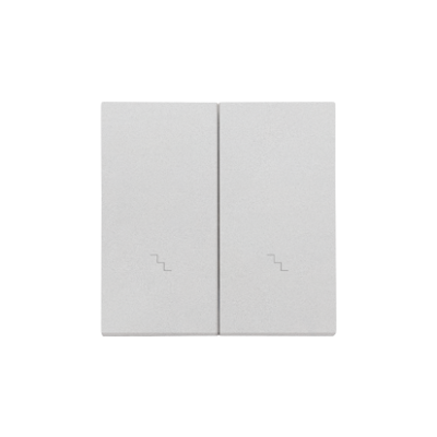 Simon 55 double button for switches and push buttons, matt aluminum