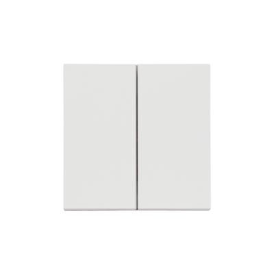 Simon 55 double button for switches and push buttons, light gray matt