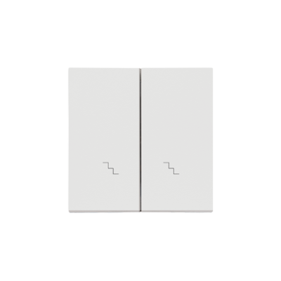 Simon 55 double button for switches and push buttons, light gray matt