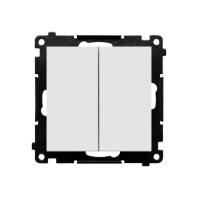 Simon 55 double push button without pictogram: 2 inputs, 2 outputs, 10AX, light gray matt