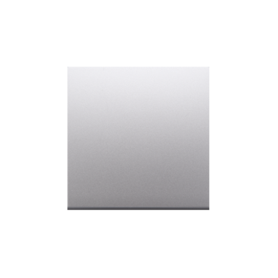 Simon 54 single button for switches and push buttons, silver matt, metalic