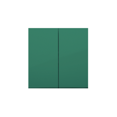 Simon 54 double button for switches and push buttons, green