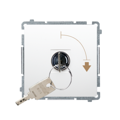 Simon Basic single switch with a key - 2 positions "0-1", 5A, white