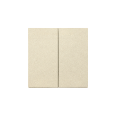 Simon 55 double button for switches and push buttons, champagne matt