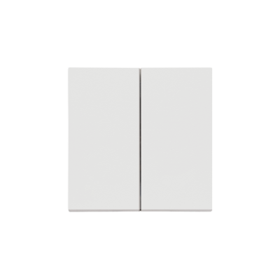 Simon 55 double button for switches and push buttons, light gray matt