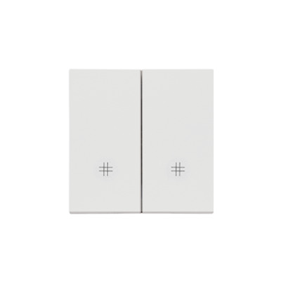 Simon 55 double button for switches and push buttons, light gray matt