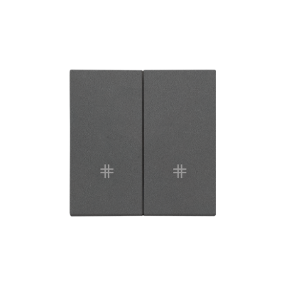 Simon 55 double button for switches and push buttons, graphite mat