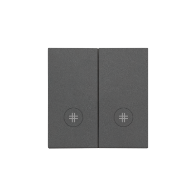 Simon 55 double button for switches and push buttons, graphite mat