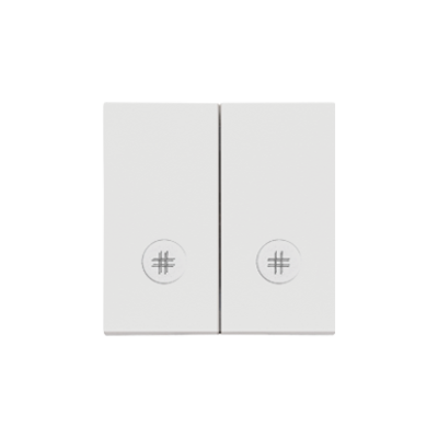Simon 55 double button for switches and push buttons, light gray matt