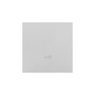 Simon 55 single button with pictogram for switches and push buttons, matt aluminum