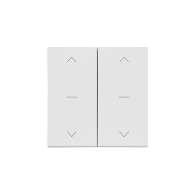 Simon 55 pictogram keys for SZW2M mechanisms: SZP2M, light gray matt