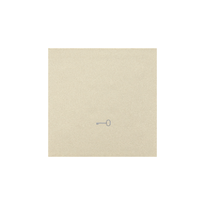 Simon 55 single button with pictogram for switches and push buttons, champagne matt