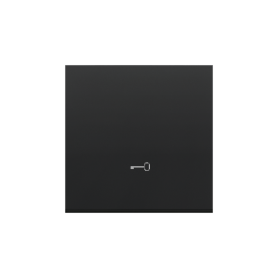 Simon 55 single button with pictogram for switches and push buttons, black matt