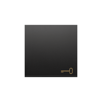 Simon 54 single button with pictogram for switches and push buttons, black matt