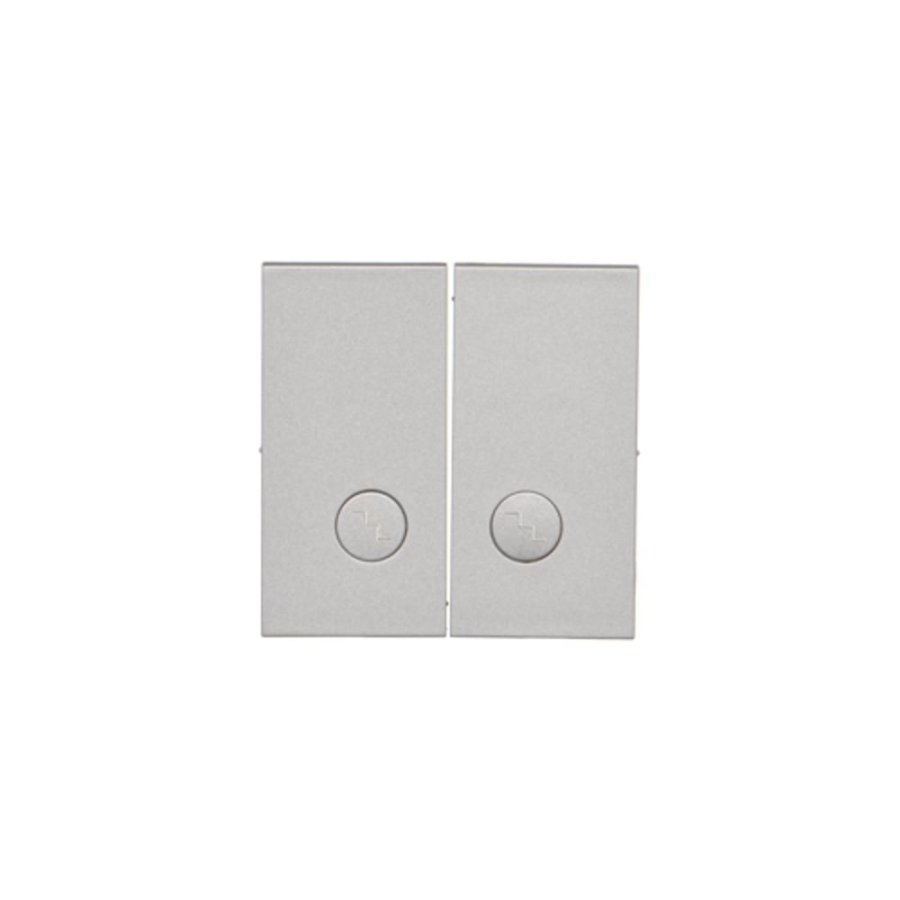 Simon 55 double button for switches and push buttons, matt aluminum
