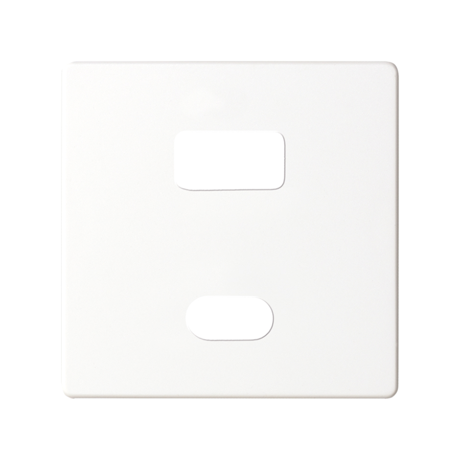 Simon 82 USB įkroviklio A ir C tipo dangtelis, balta