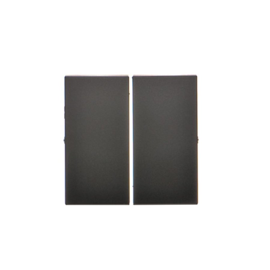 Simon 10 double button for switches and push buttons, black matt